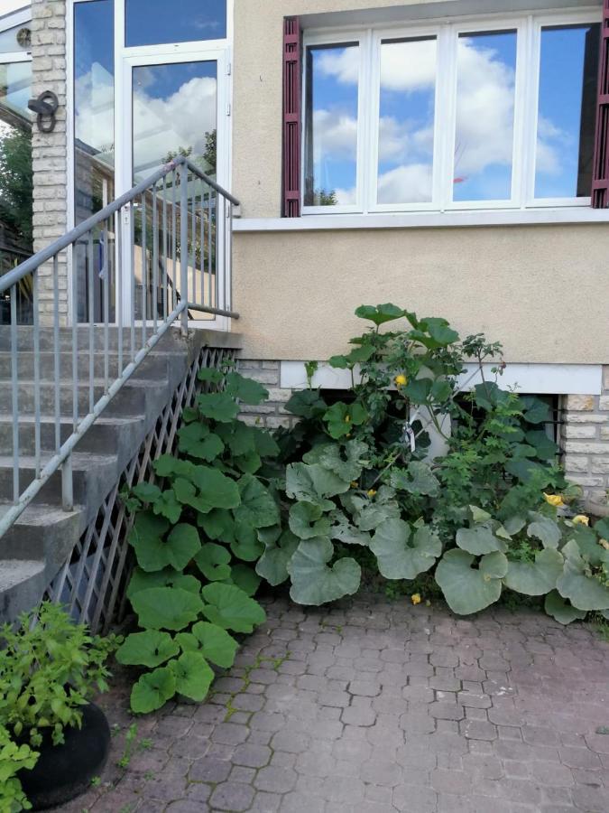 Un Verger Dans La Ville Saint-Parres-aux-Tertres 외부 사진