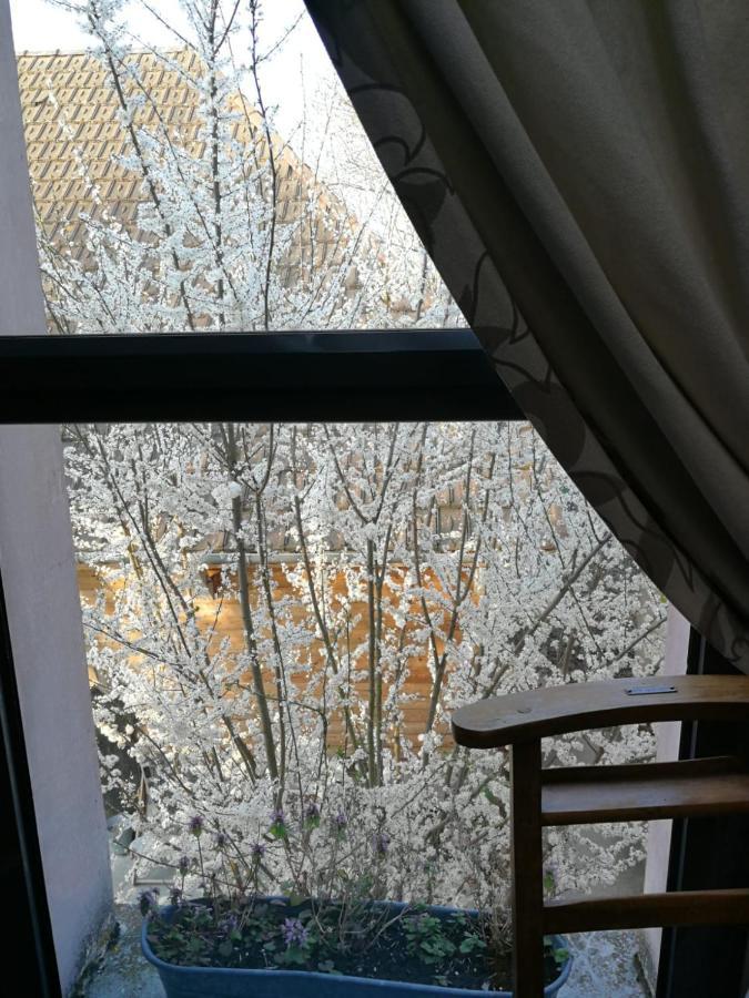 Un Verger Dans La Ville Saint-Parres-aux-Tertres 외부 사진